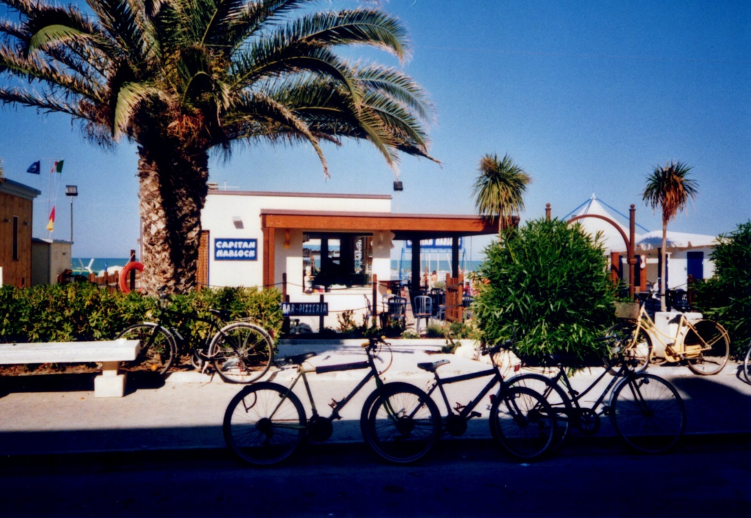 2005